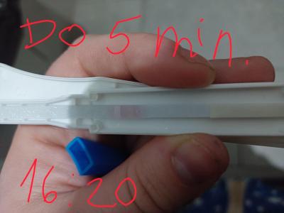 Testování a těhotenský test | Zkušenosti Pepino