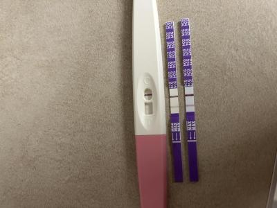 Testování a těhotenský test | Sílí, jak má?