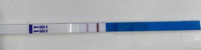 Testování a těhotenský test | Tětotenský test - je OK?