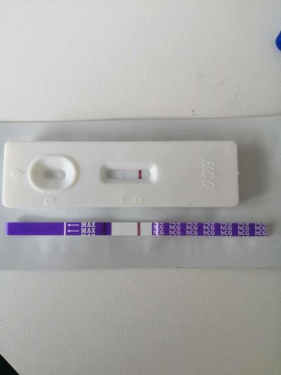 Testování a těhotenský test | TT pět dní před menstruaci