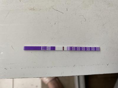 Testování a těhotenský test | Test - duch