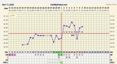Snažení | 8DPO - nidace?