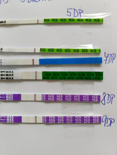 Centra asistované reprodukce | IVF 2023