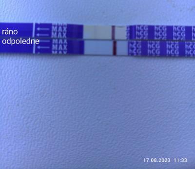 Testování a těhotenský test | Ovitrelle