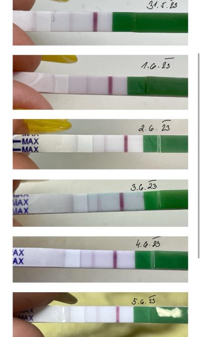 Testování a těhotenský test | Opk, bazální teplota, testy…aj.