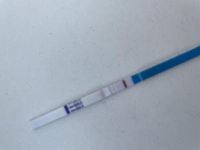 Testování a těhotenský test | Je pozitivní tento tt?