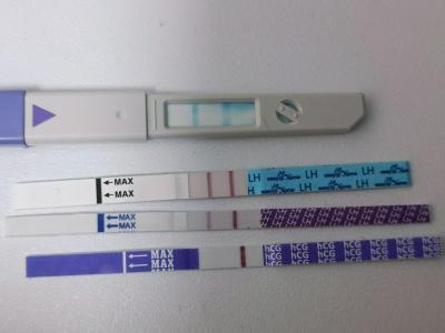 Snažení | Ovulační test - čemu věřit ?