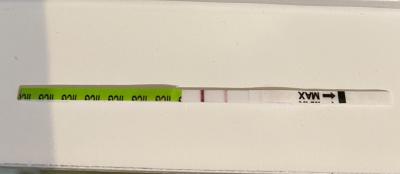 Testování a těhotenský test | Pepino a výrazné čárky