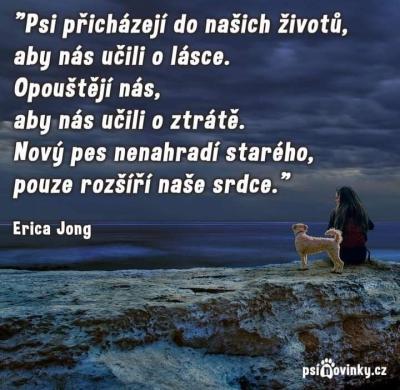 Zvířata | Smrt psa