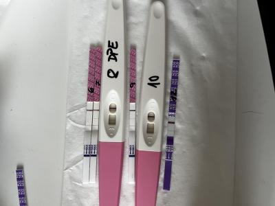Centra asistované reprodukce | IVF únor 2023