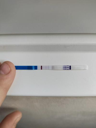 Testování a těhotenský test | Vidíte tam také  ducha?