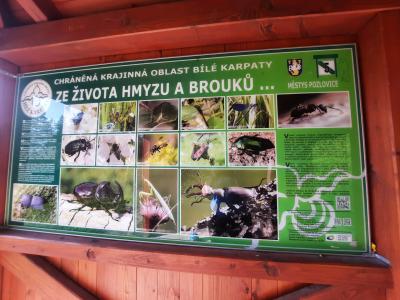 PŘEHRADA LUHAČOVICE