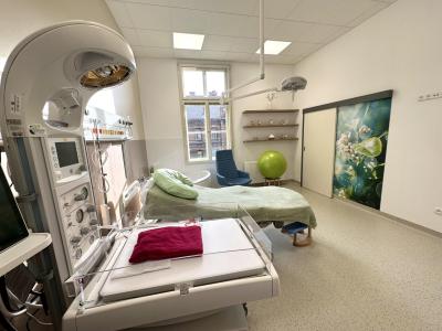 Porodnice U Apolináře, Klinika gynekologie, porodnictví a neonatologie 1. LF UK a VFN