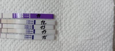 Testování a těhotenský test | Těhotenský test a biochemko