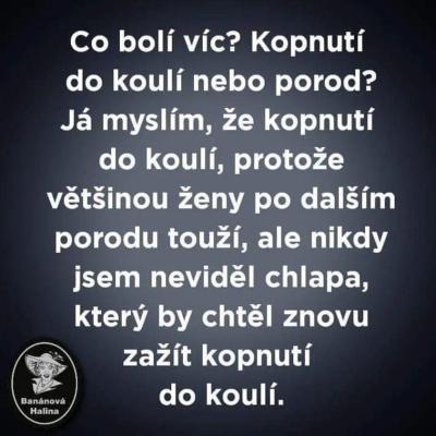 Miminko | Mám si pustit malé lásky?