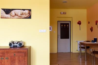 Porodnice Prachatice, Gynekologicko-porodnické oddělení: Vybavení nadstandardního pokoje.
