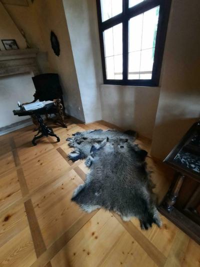 HRAD ROŠTEJN