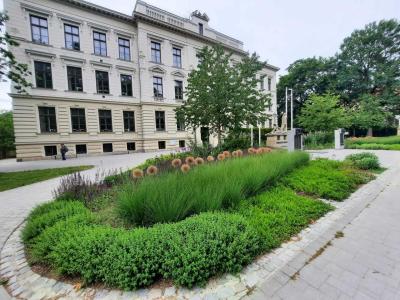 ZÁMECKÝ PARK