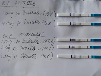 Centra asistované reprodukce | Ket srpen 2023