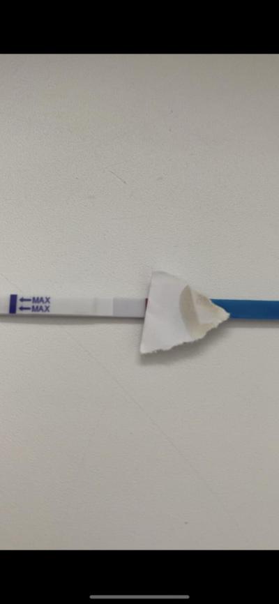 Testování a těhotenský test | Pozitivní test nebo ryska? 1 den do ms