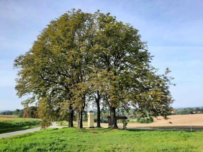 BLAHUSTOVICE