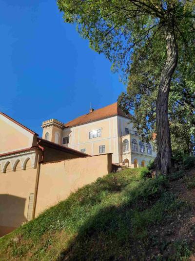 LETOVICE
