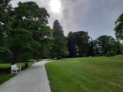 ZÁMECKÝ PARK