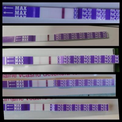 Testování a těhotenský test | KET leden 2023
