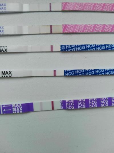 Testování a těhotenský test | 13 tý den po Ketu