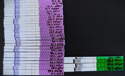 Testování a těhotenský test | Ovulační test ukáže těhotenství dříve