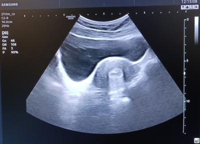 Centra asistované reprodukce | IVF 2023