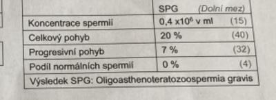 Neplodnost | IVF, výsledky spermiogramu, půjde to?