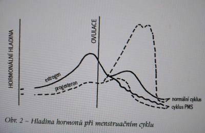 Gynekologické potíže | Hrozné PMS - co vám pomáhá?