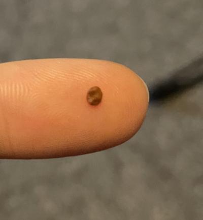 Kojení a UM | Drobek v mléku kendamil 3