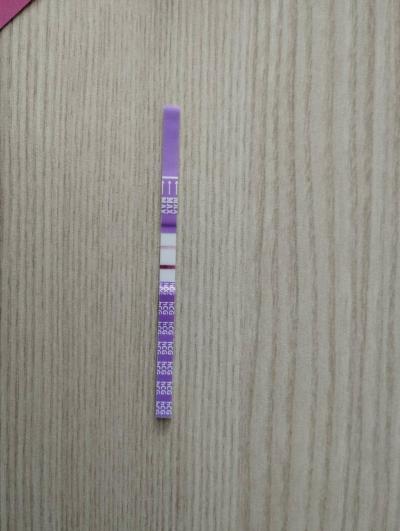 Testování a těhotenský test | Těhotenský test