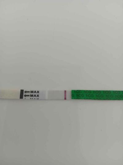 Testování a těhotenský test | Vidíte něco? (test)