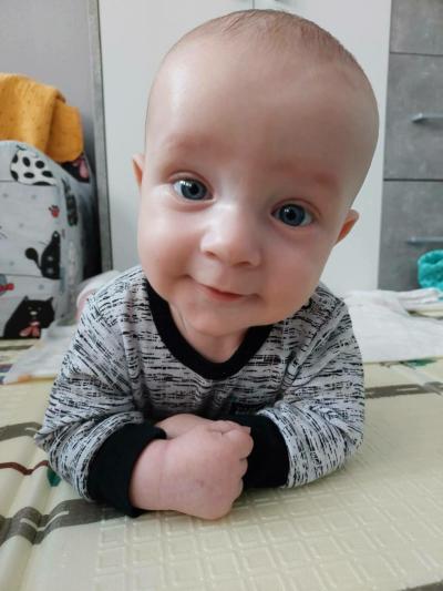 Snažení | IVF cube studie pro rok 2018
