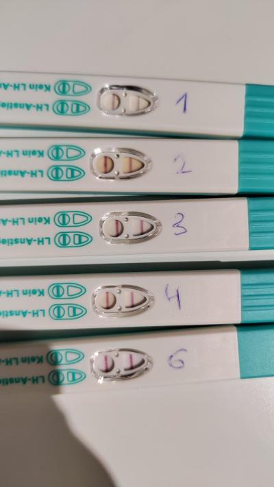 Testování a těhotenský test | Ovulační testy vyhodnocení.
