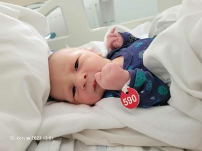 Snažení | IVF cube studie pro rok 2018