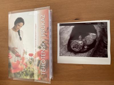 Centra asistované reprodukce | IVF 2023