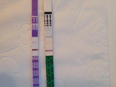 Testování a těhotenský test | Duch na testu a stale nesili