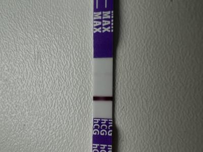 Testování a těhotenský test | Vidíte tam něco?????asi blaznim