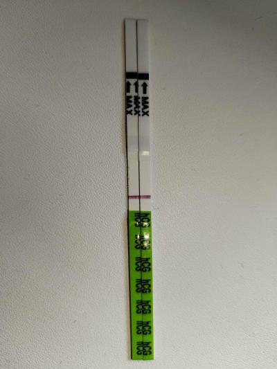 Testování a těhotenský test | Těhotenský test slabý duch