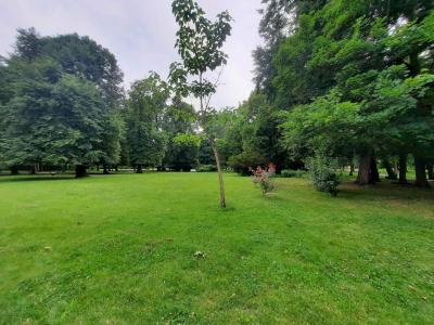 ZÁMECKÝ PARK