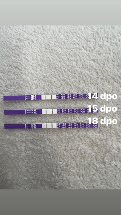 TP srpen 2024 | TP srpen 2024