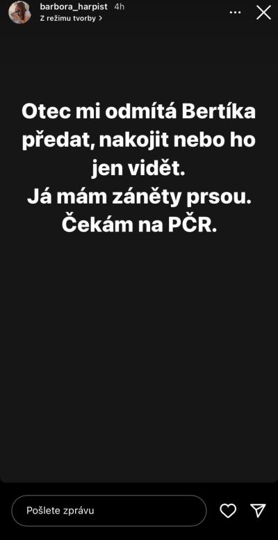 Alimenty, rozvody | Případ Báry a Bertíka