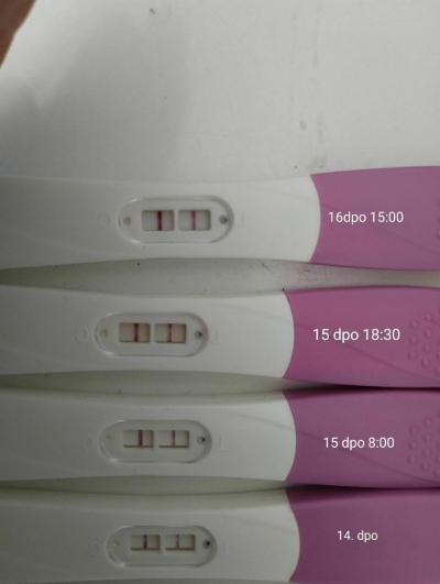 Testování a těhotenský test | Myslím že test slábne..