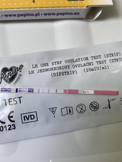 Snažení | Ovulace a ovulační test