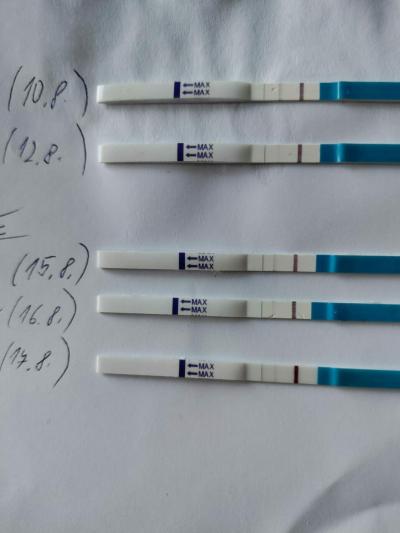 Centra asistované reprodukce | Ket srpen 2023