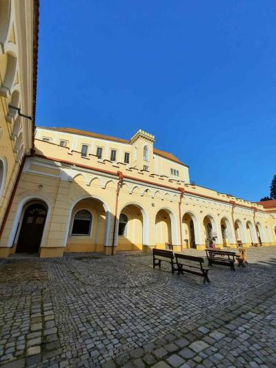 LETOVICE